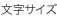文字サイズ